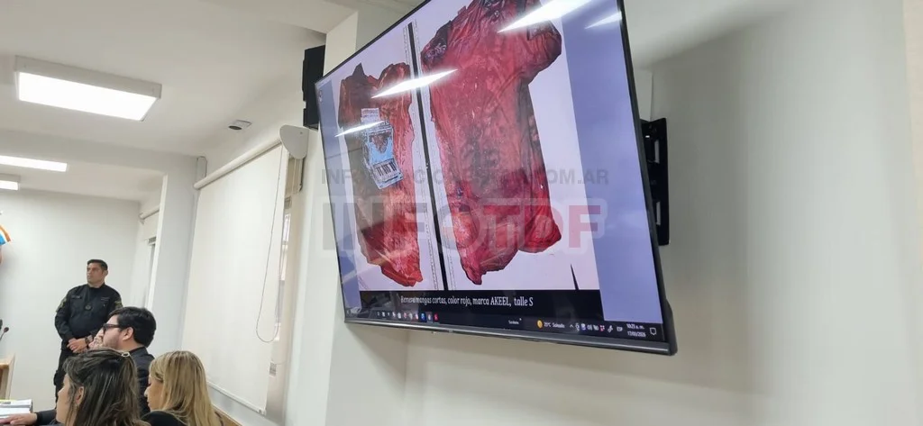 WhatsApp Image 2026-03-17 at 23.03.38 (1)