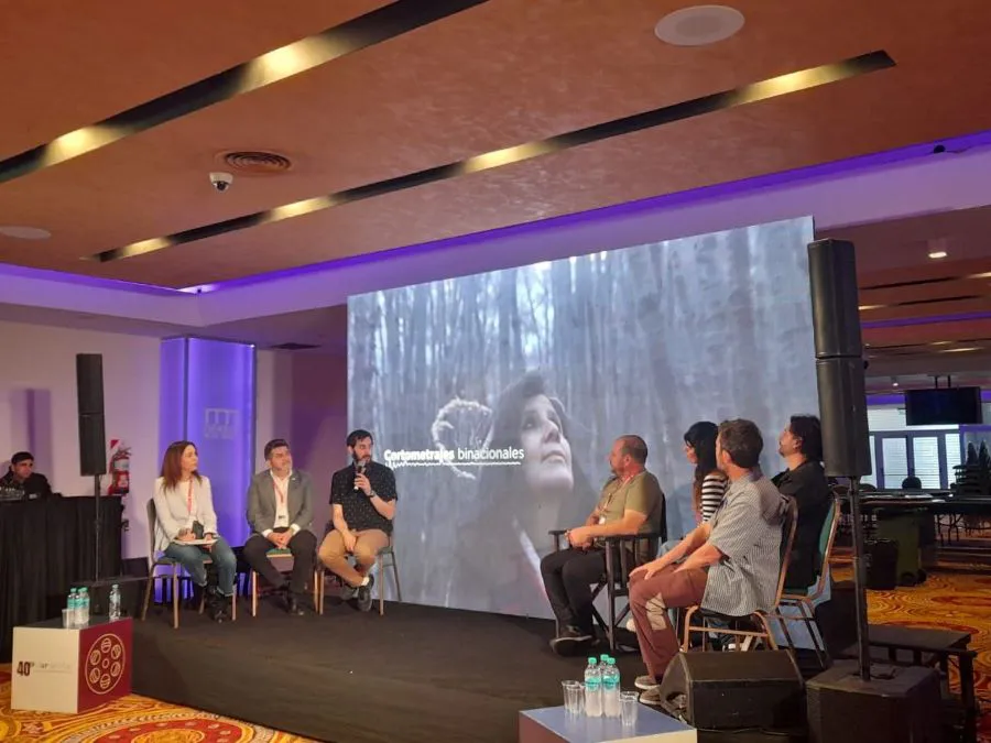 photo_4961134608313420651_y