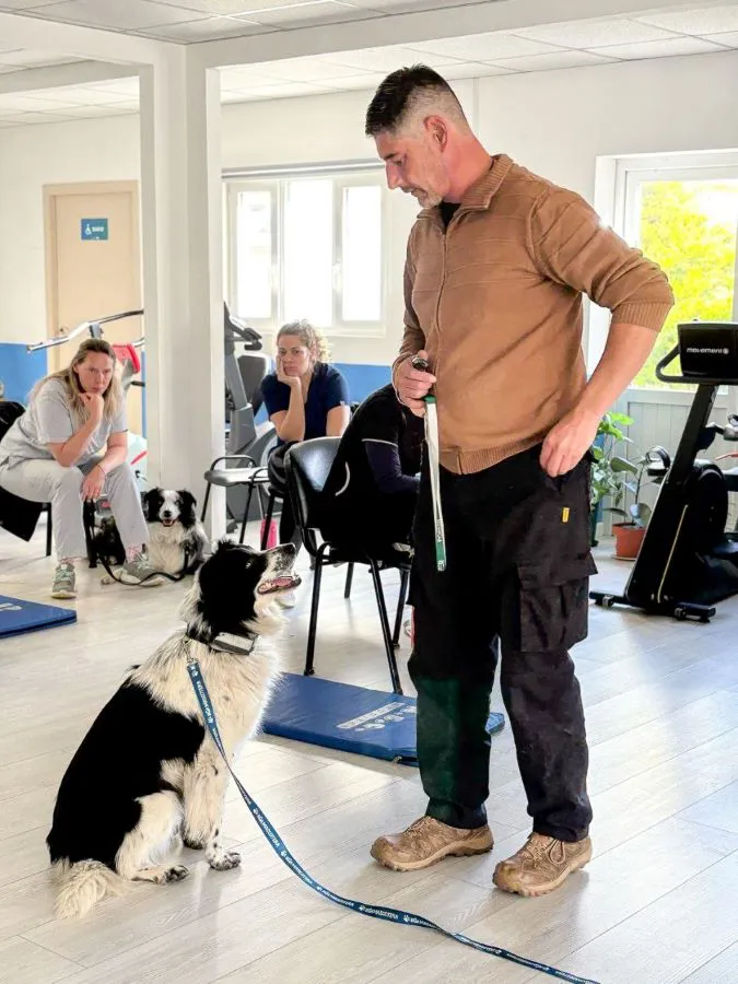 photo_5143235758461660881_y