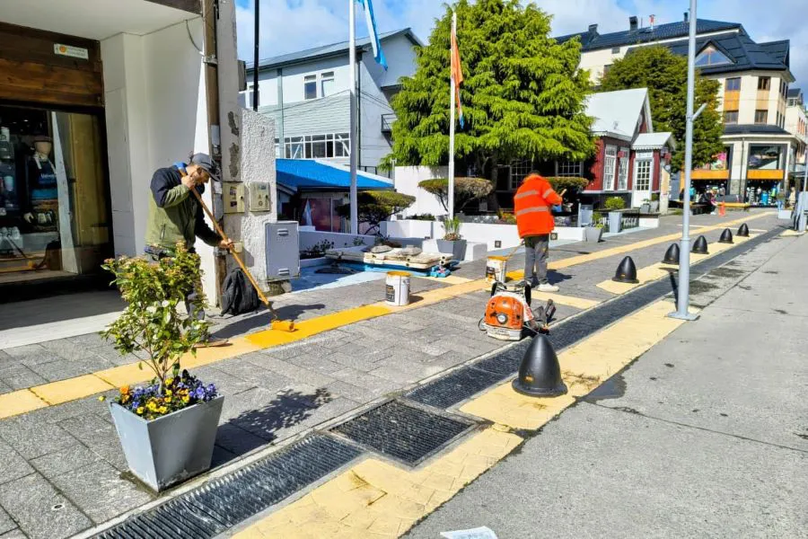 photo_4949625813947059024_y