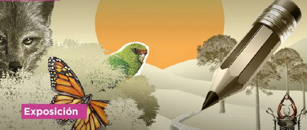 photo_4902516108678597941_y