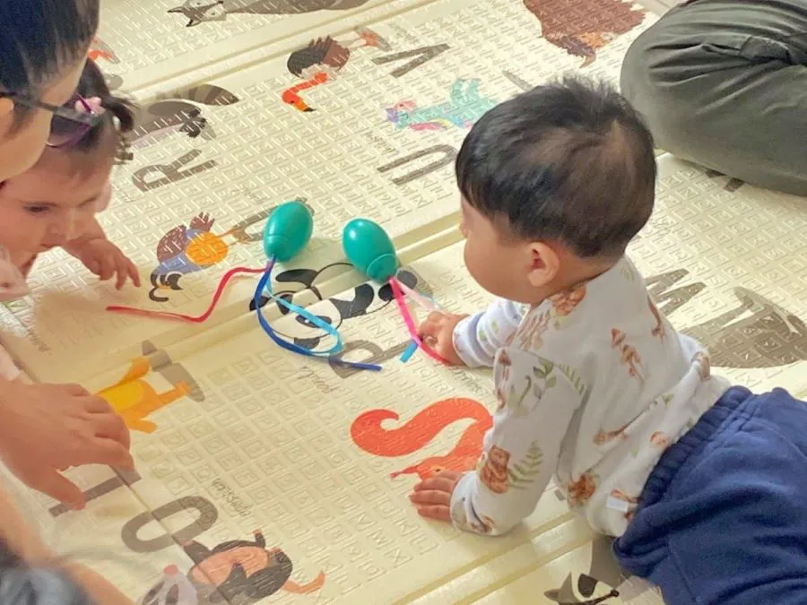 photo_4976619554553400106_y