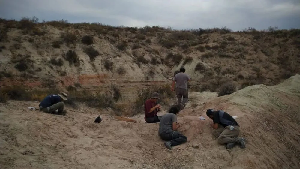 Imagen de WhatsApp 2025-10-07 a las 12.17.04_f666a6a3