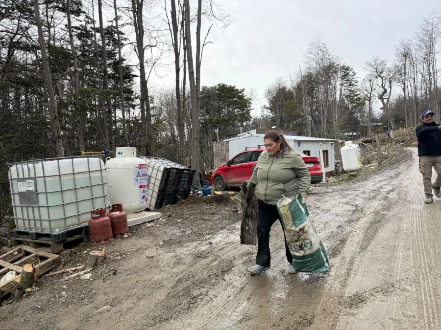 photo_5019527424592948983_y