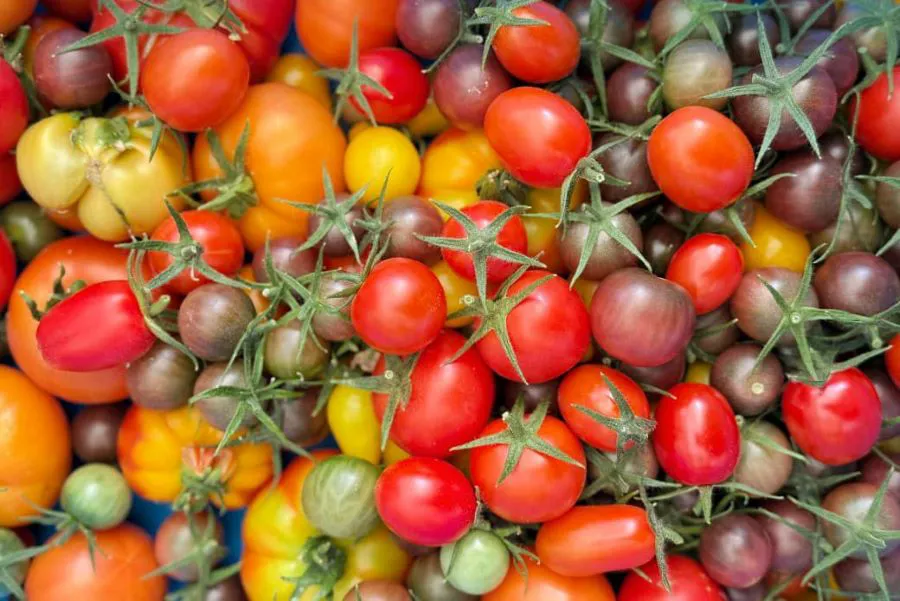 photo_5035532087649307415_y