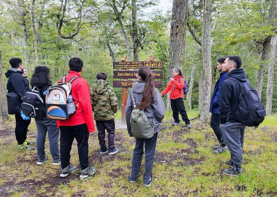 Todas las actividades del programa Verano TDF se encuentran disponibles on line (1)