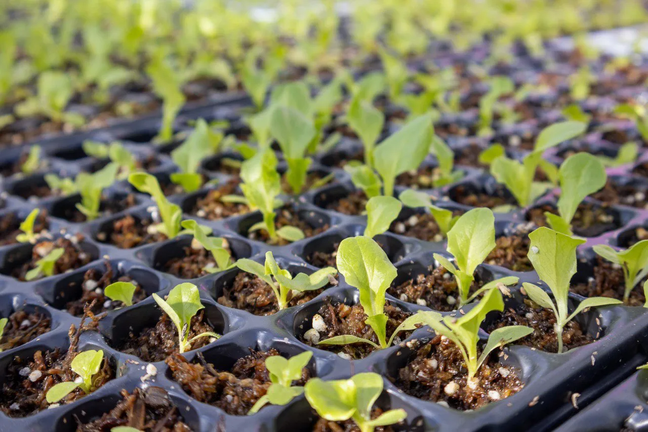 photo_5125623386070953112_y