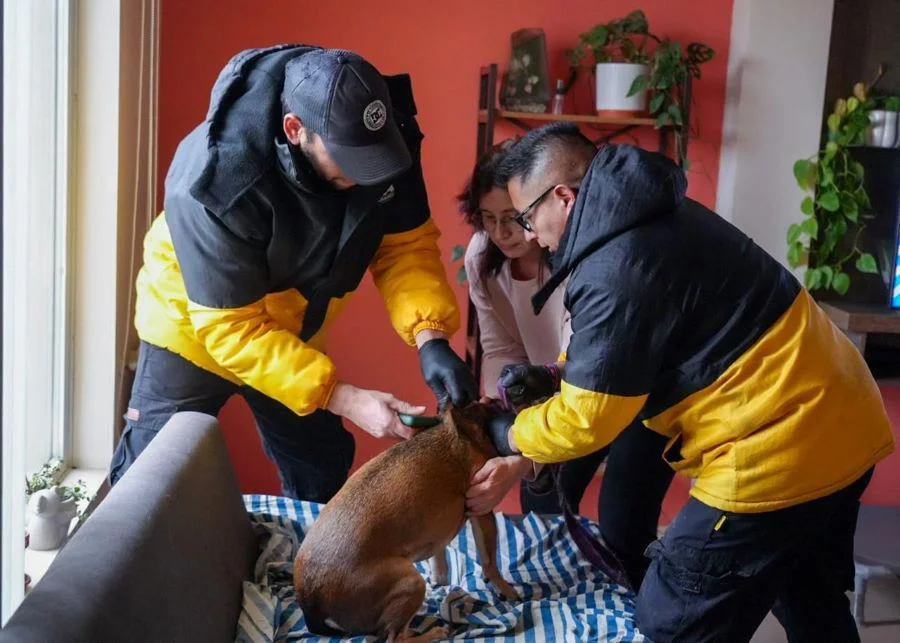 Trabajo territorial de servicios veterinarios en Río Grande