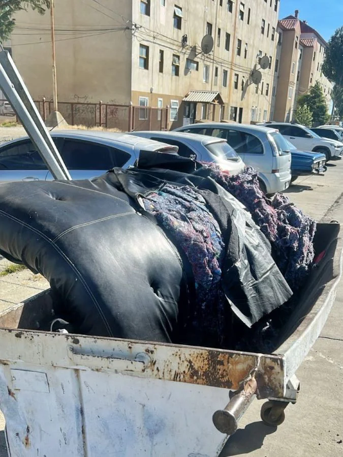 photo_4970274930079501187_y