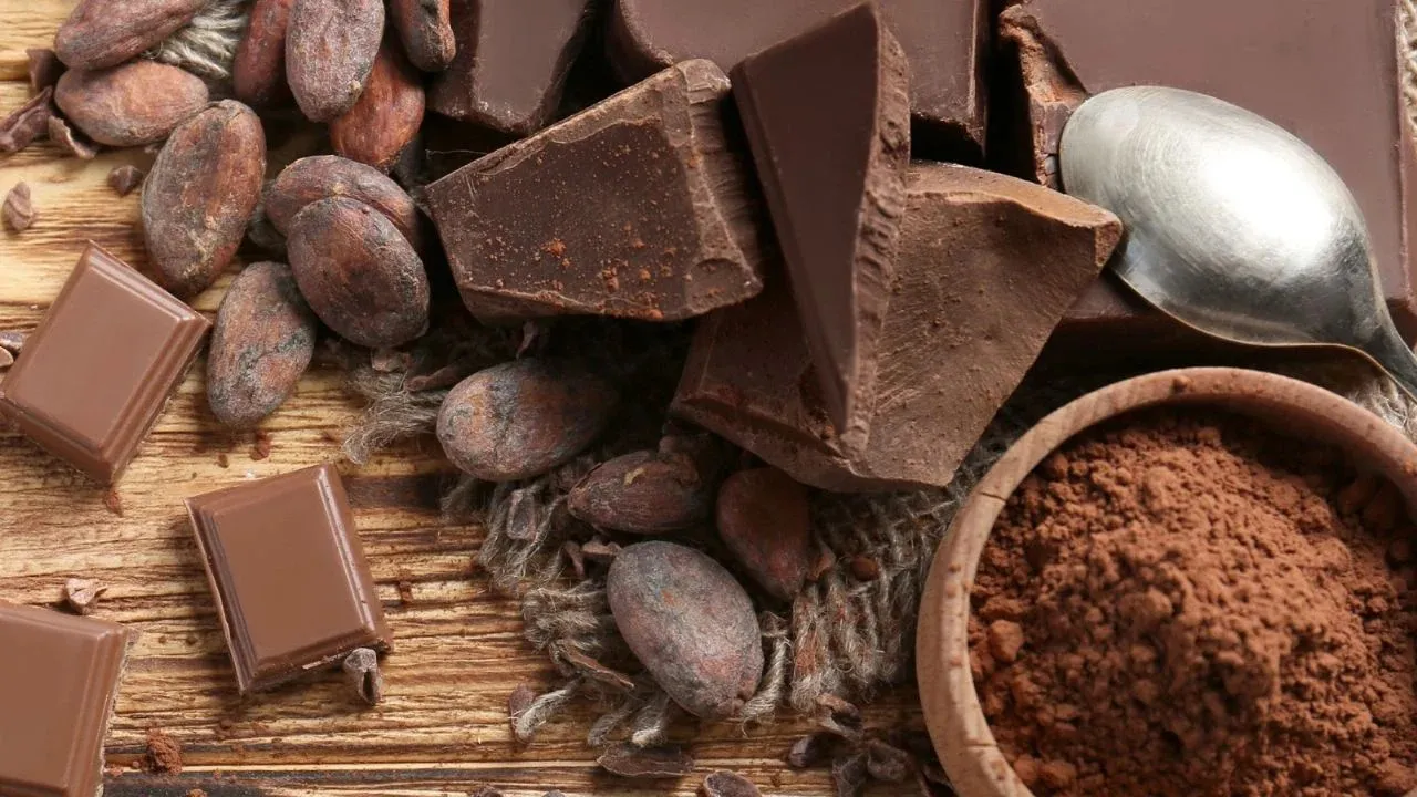 Convocan a gastronómicos y productores de chocolate en la ciudad de Tolhuin