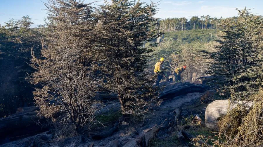 photo_4902197847303237231_y