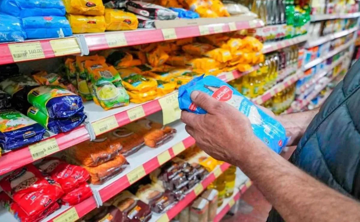 17203809-543e-42c5-8f2e-420f7f6c73d9