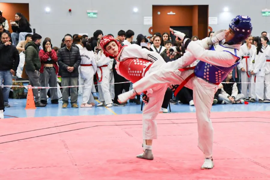 photo_5019471817651367752_y