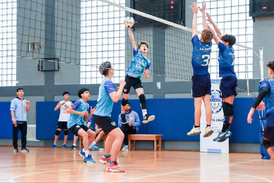 photo_4952130479960296539_y