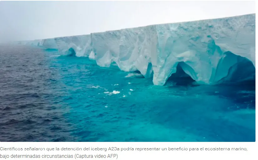 WhatsApp Image 2025-03-05 at 10.15.57