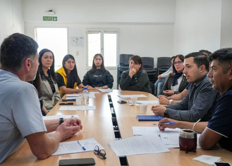Comenzó a discutirse el proyecto de castración obligatoria con protectoras