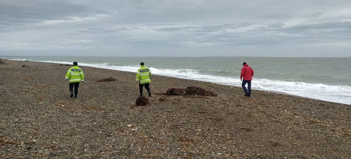 WhatsApp Image 2024-03-28 at 14.12.04