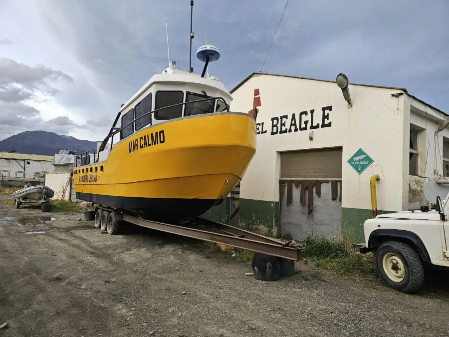 photo_4951933959432941077_y