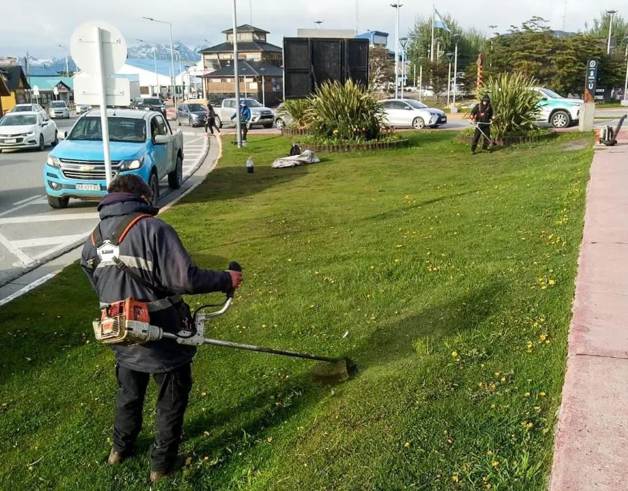 photo_4949625813947059002_y