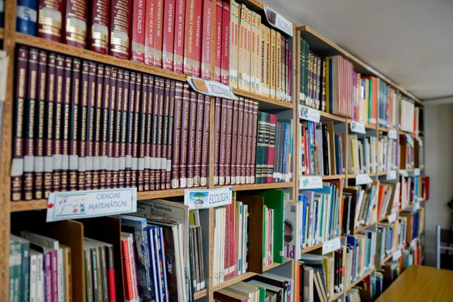 photo_5089503930886064949_y