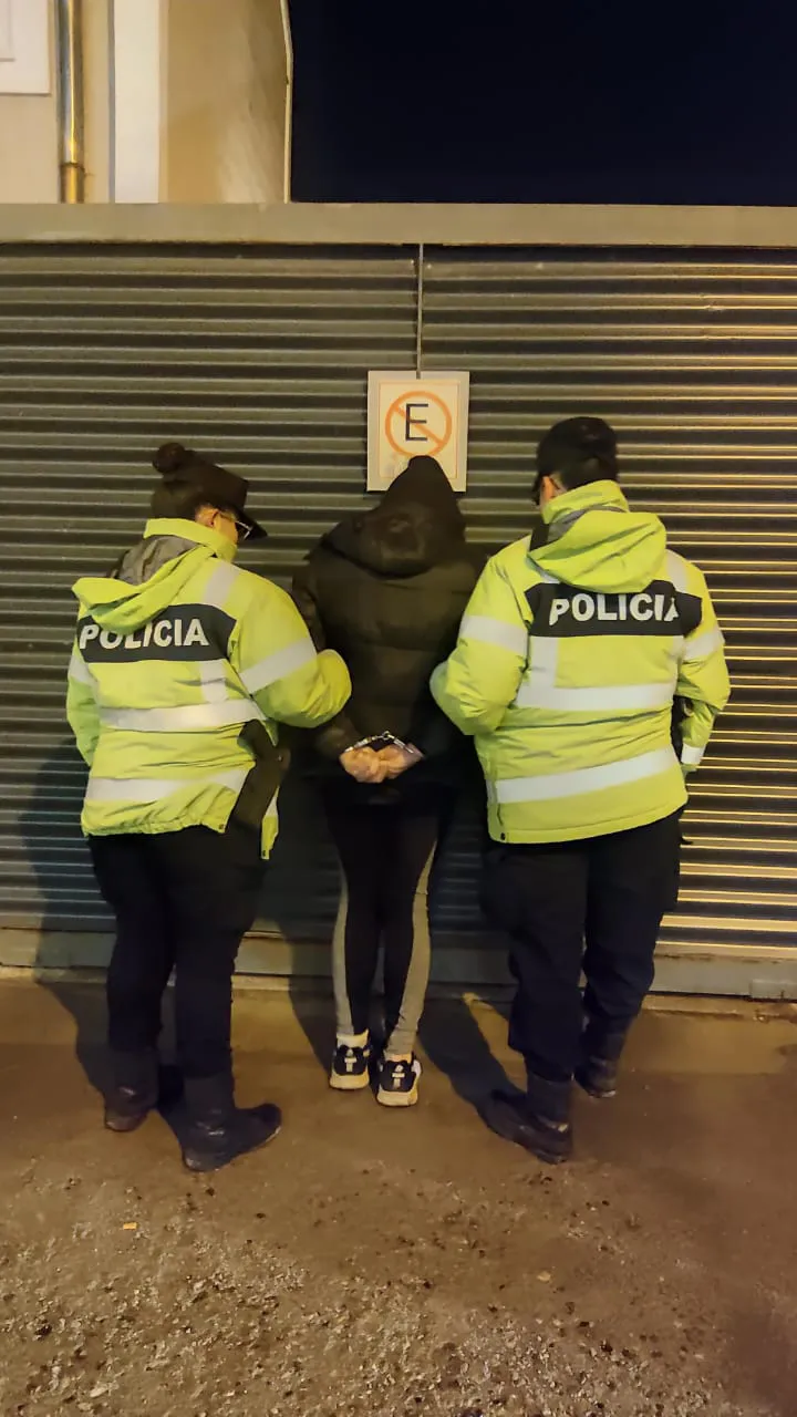 Dos personas fueron detenidas por intentar robar en dos comercios en la madrugada (3)
