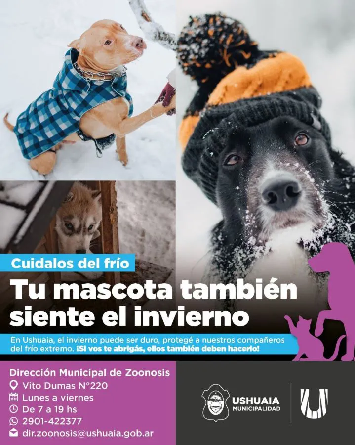 photo_5021772854970134820_y