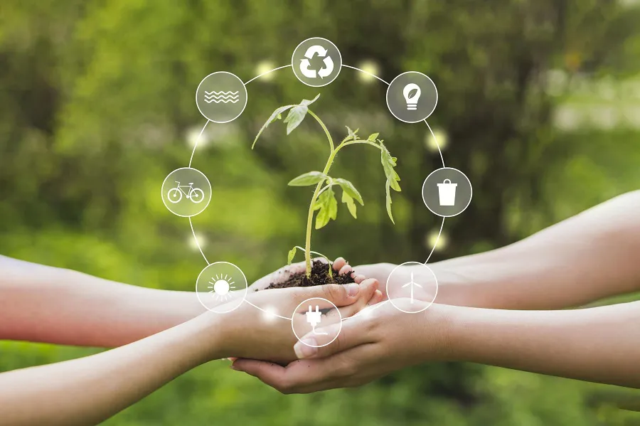 sostenibilidad-scaled