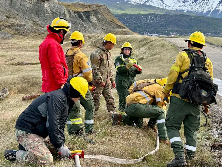 photo_4987998164166052693_y