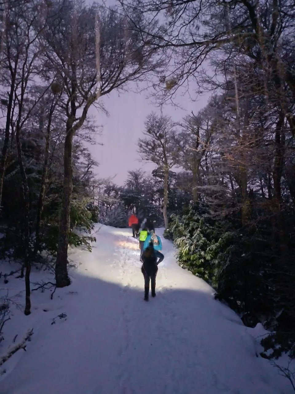 Se organizó una caminata nocturna por el cierre de los talleres de invierno en Ushuaia  (3)