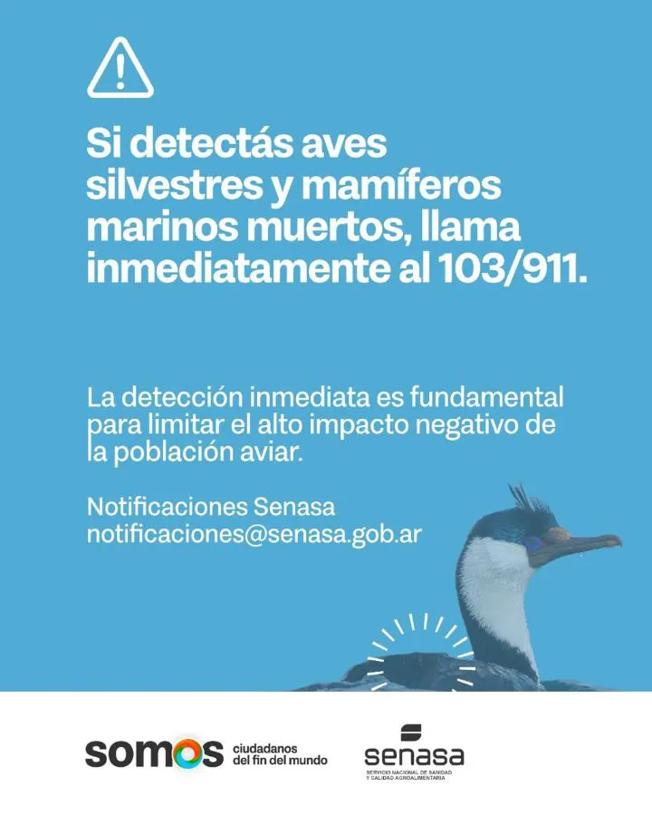 photo_5064333064590699840_y