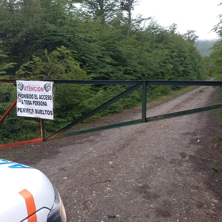 photo_5102831454919962237_y