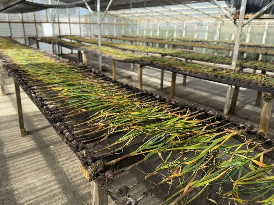 photo_4945095314939513896_y