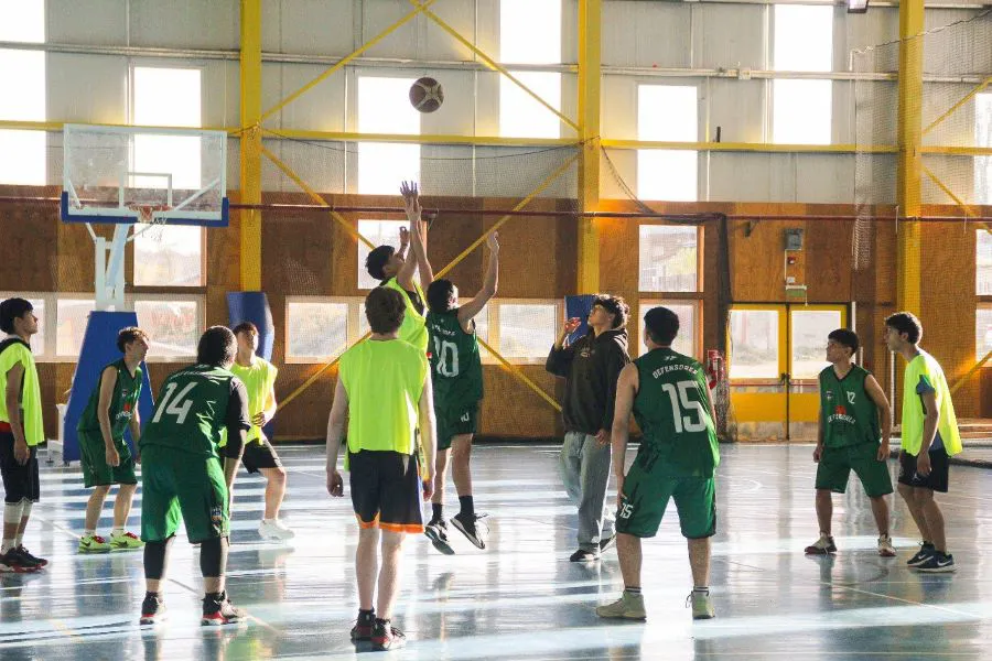 photo_4956437559060311738_y