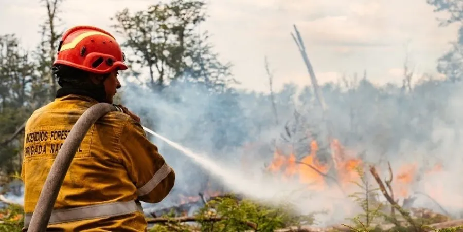 Decretan el nivel de “Alto Riesgo de Incendios Forestales” en la provincia