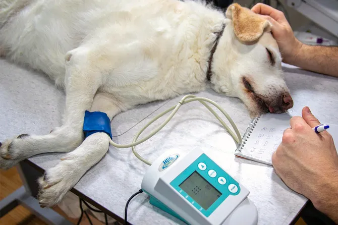 222693012_367907368126205_4292095922867048943_n