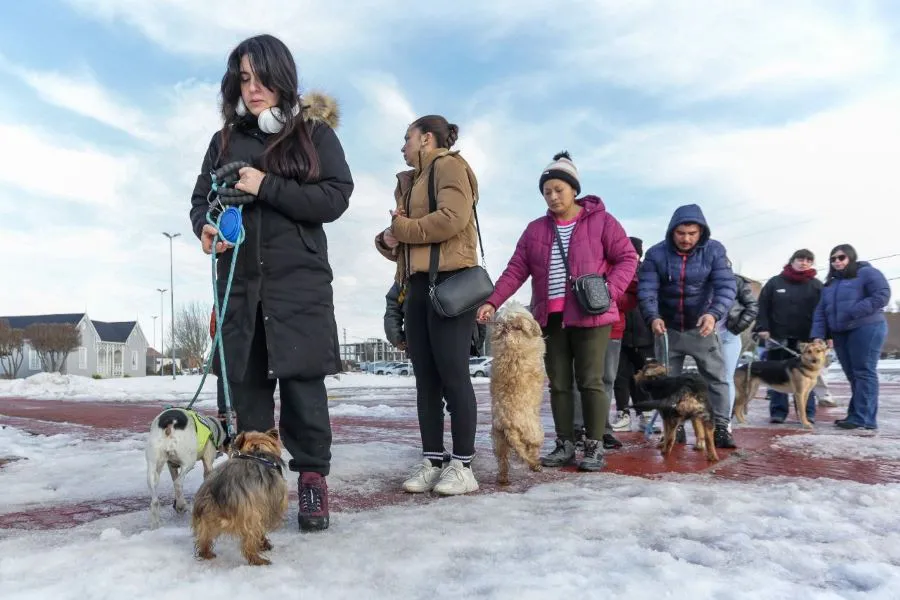 photo_5143227945916150028_y