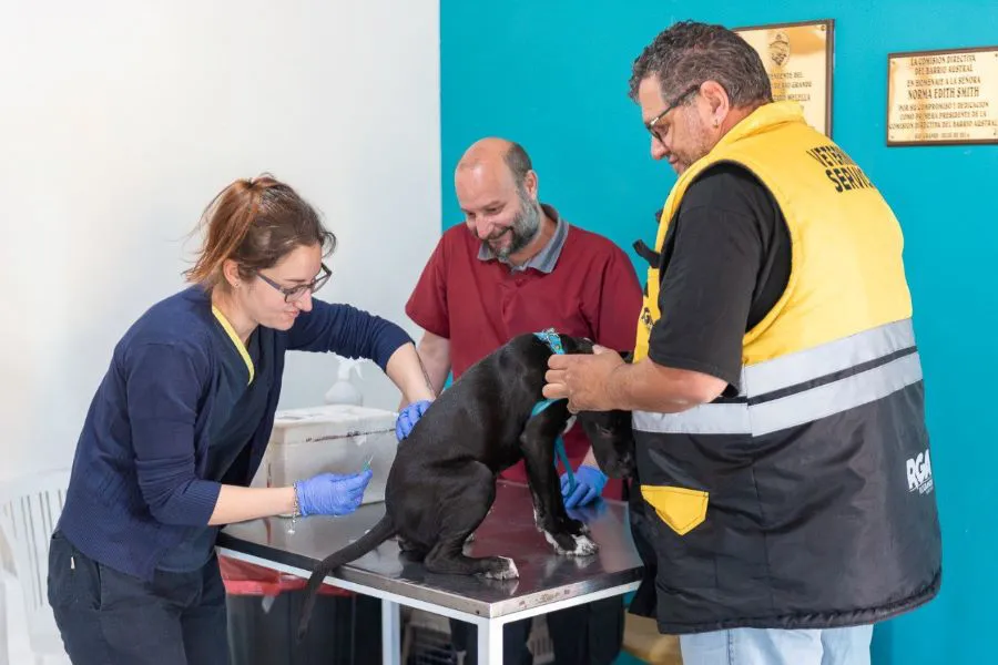 photo_5087087943058829279_y