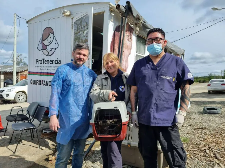 photo_4913598760681058112_y