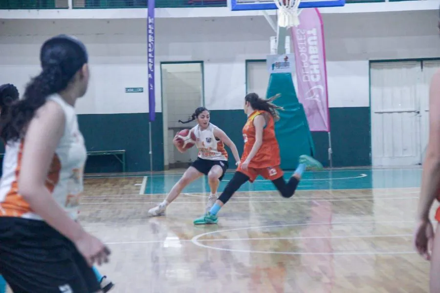 photo_4920594635341016677_y