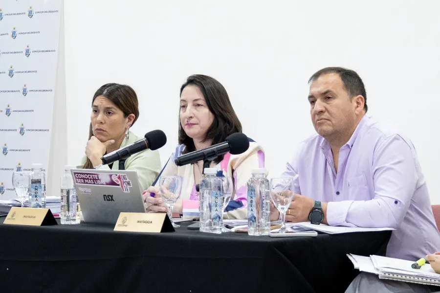 “Este presupuesto prioriza la inversión social, para acompañar a las familias”