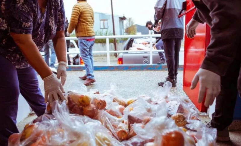 Módulos Alimentarios