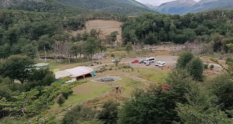 photo_4996913515541409357_y