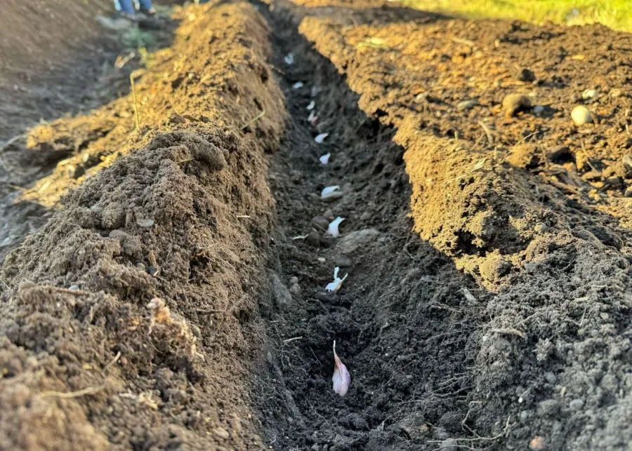 photo_5163605392482223652_y