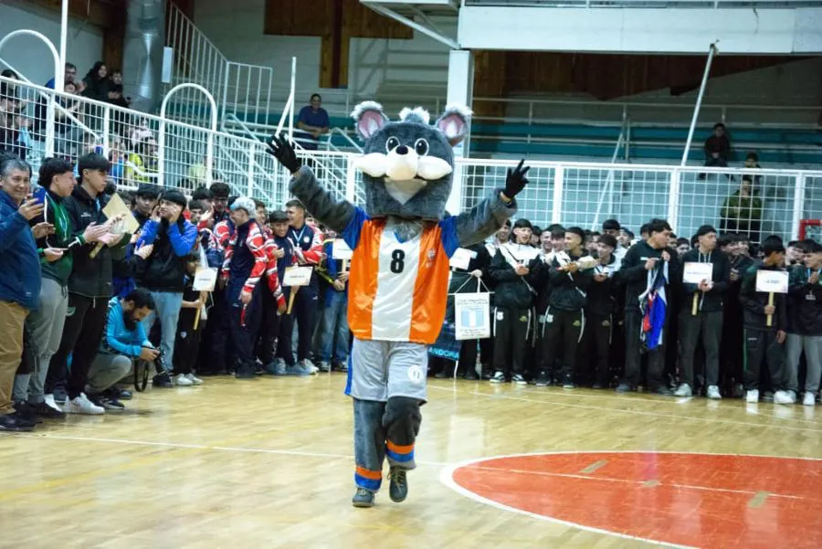 photo_4979234906165063442_y