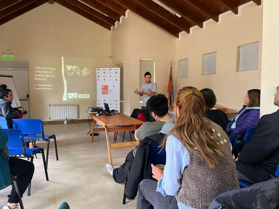 photo_5066808048084954767_y