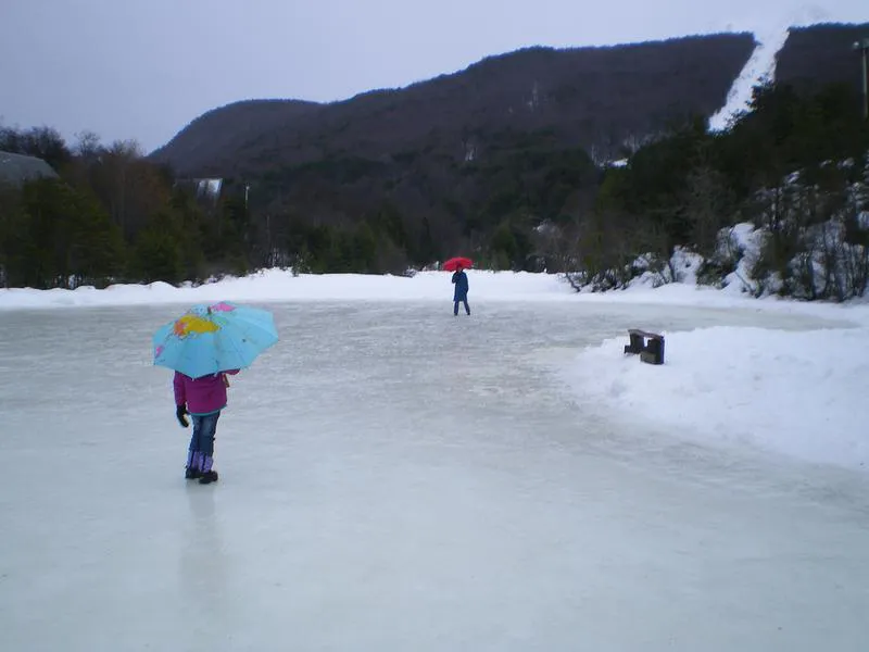 multimedia.normal.a4fc71c0a960dd68.373734323939393931305f343163616233303330665f625f6e6f726d616c2e6a7067