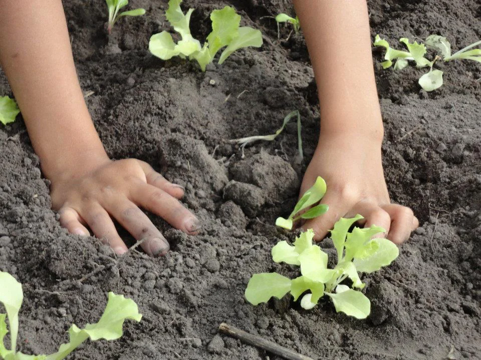 Taller “Manos en la Huerta”