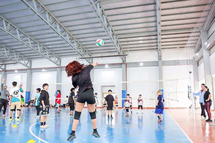 photo_4956618647770172168_y