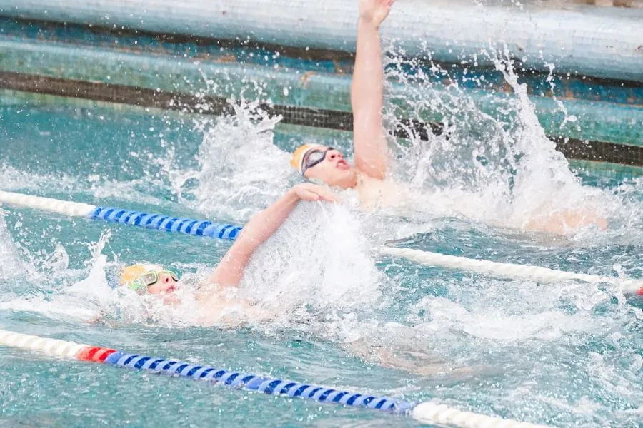 photo_4995018116408913585_y