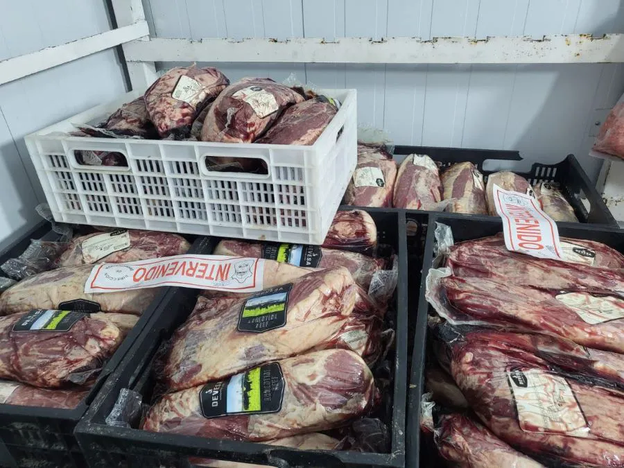 photo_4961015702140071457_y